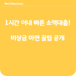 1시간 이내 빠른 소액대출! 비상금 마련 꿀팁 공개